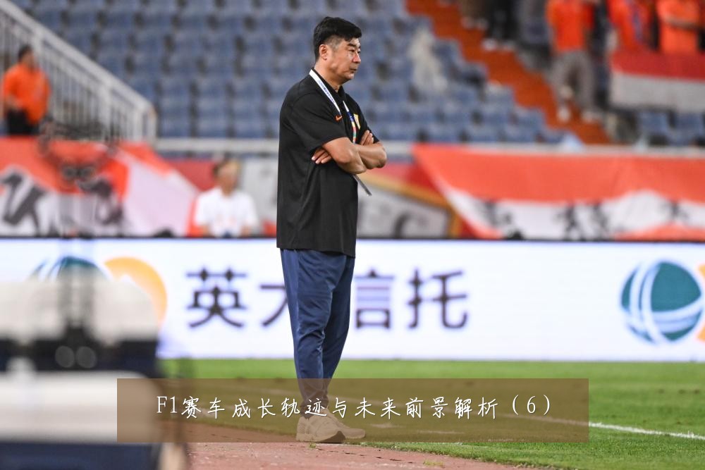 F1赛车成长轨迹与未来前景解析（6）