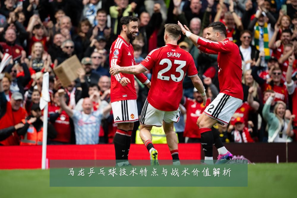 马龙乒乓球技术特点与战术价值解析
